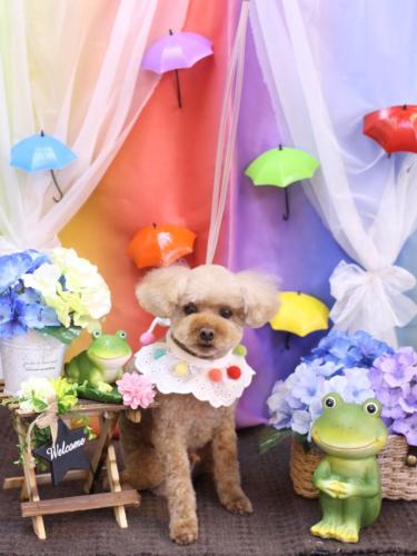 20230601そらくん